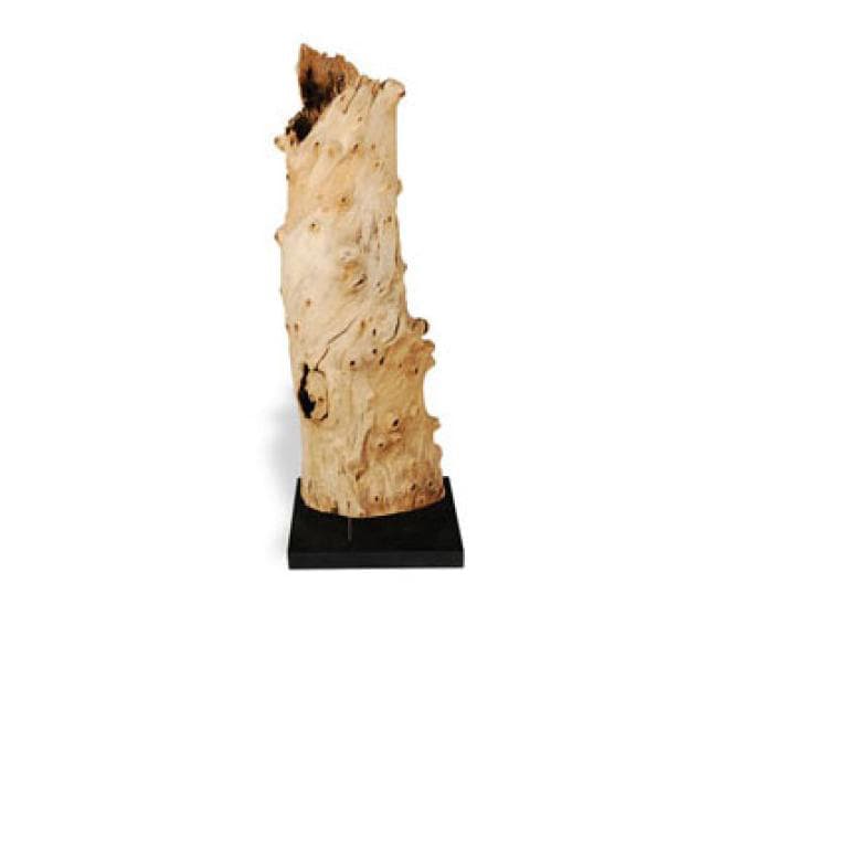 Напольный светильник Philips Collection Driftwood Lamp, LG