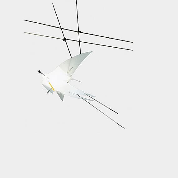 Трековый светильник Oligo Light-Line CHARLES Oligo