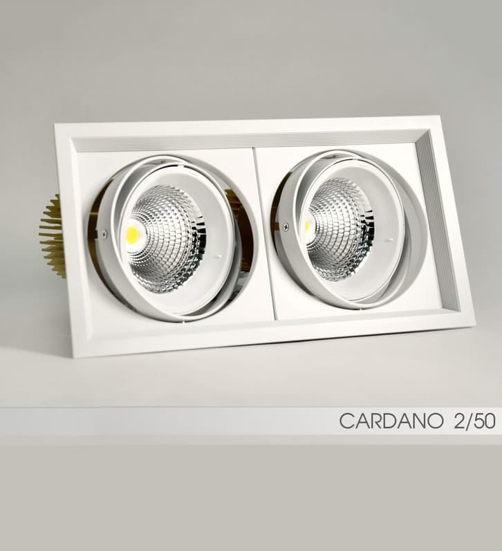 Встраиваемый в потолок светильник FireLED FireLED FLED-DL 002-50x2 (КАРДАНО-50х2)