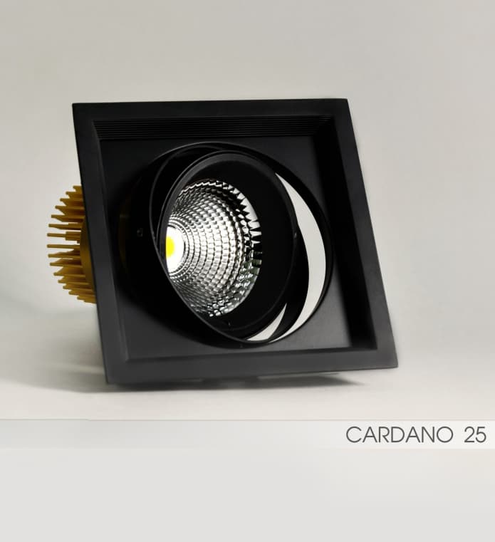 Встраиваемый в потолок светильник FireLED FireLED FLED-DL 002-25 (КАРДАНО-25)