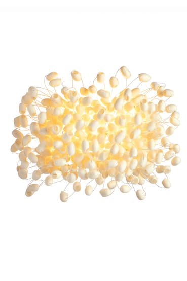 Настенный светильник Ango Chrysalis Wall WL04001