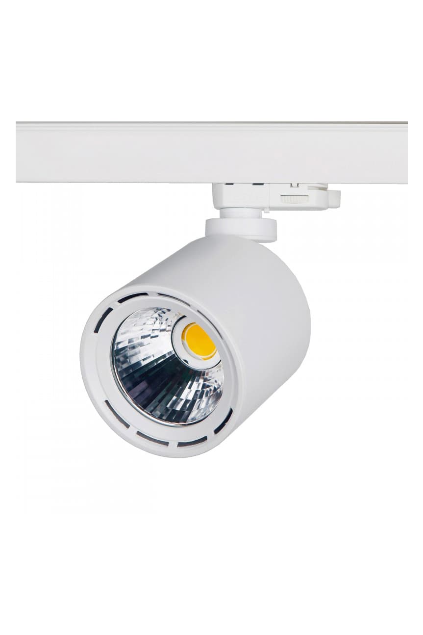 Трековый светодиодный светильник Lival Casa AC Lival