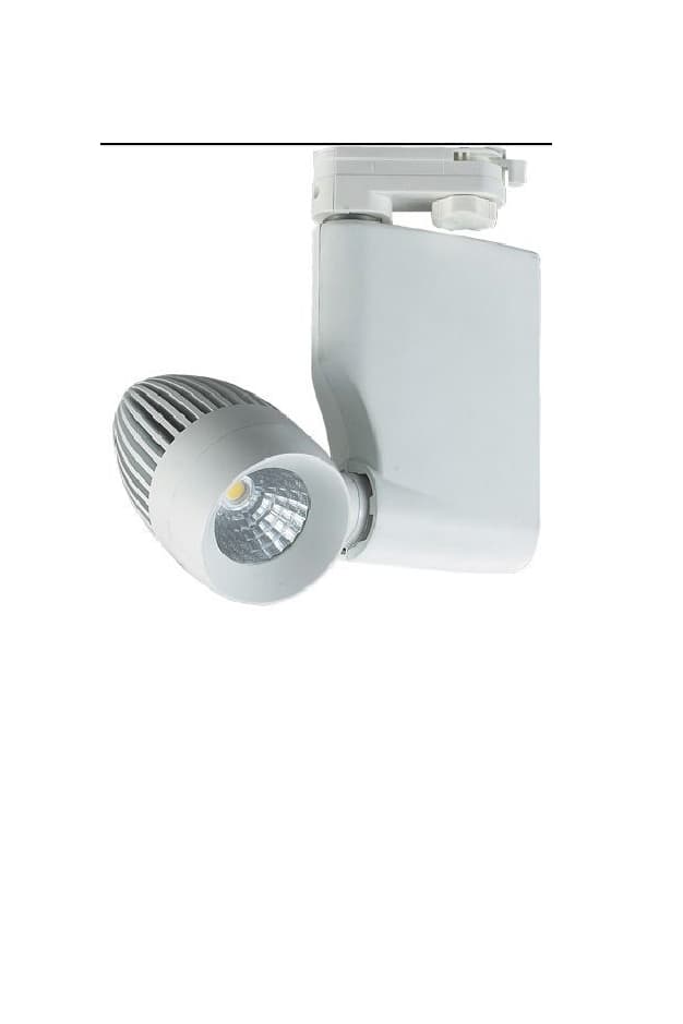 Трековый светодиодный светильник Limex Commeicial Track Light TL0110 Limex