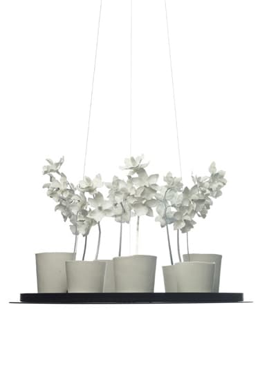 Подвесной светильник Jeremy Cole Cymbidium Chandelier