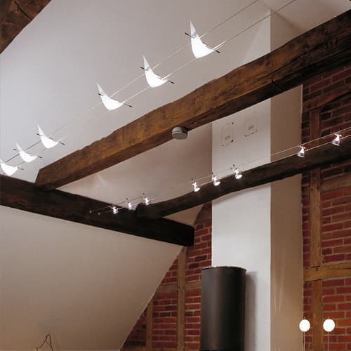 Трековый светильник Oligo Light-Line IGUA Oligo