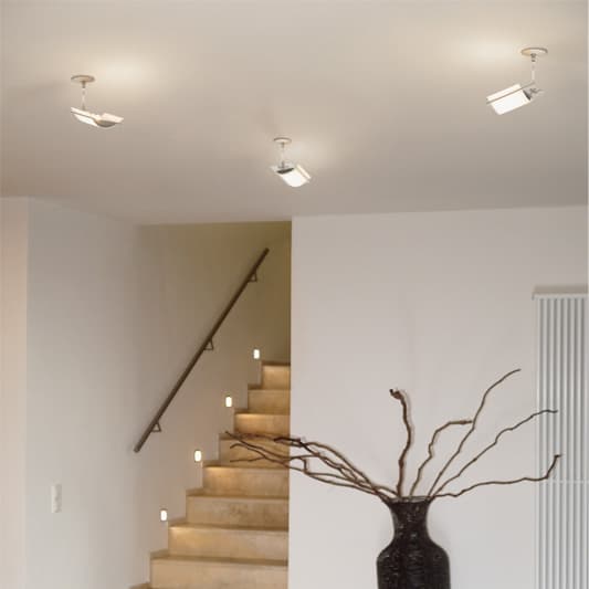 Oligo NIGHT FLIGHT Oligo