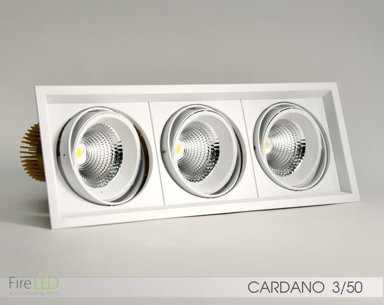 Встраиваемый в потолок светильник FireLED FireLED FLED-DL 002-50x2 (КАРДАНО-50х2) FireLED