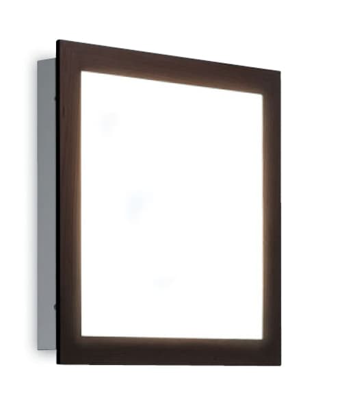 Настенно-потолочный светильник Zonca 30804 Zonca