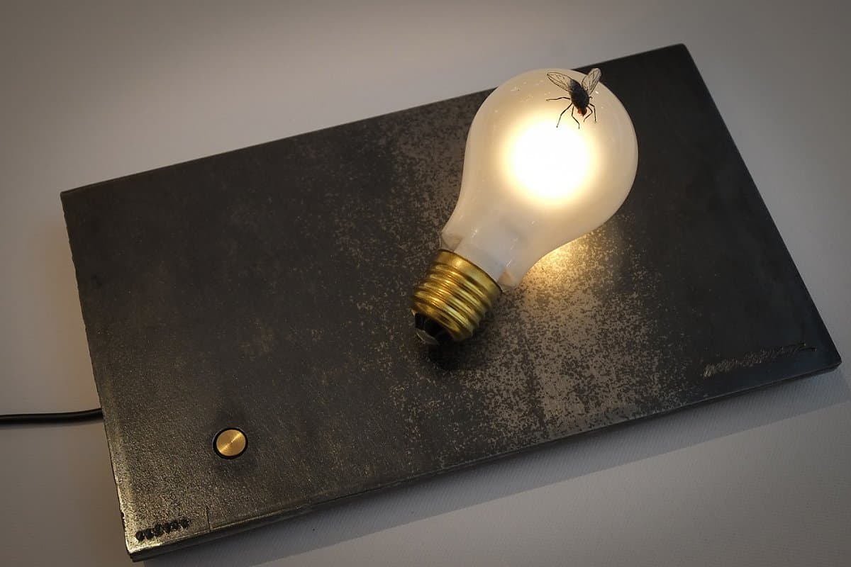 Настольный светильник Ingo Maurer I Ricchi Poveri - Fly Ingo Maurer