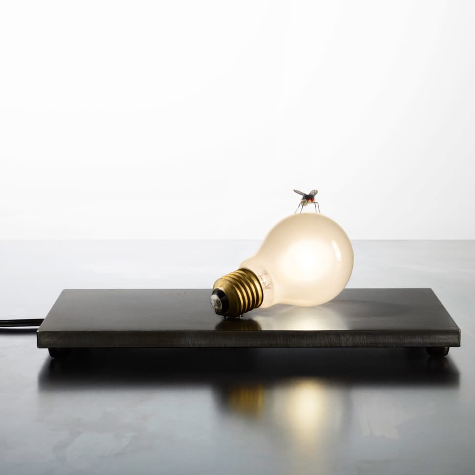 Настольный светильник Ingo Maurer I Ricchi Poveri - Fly Ingo Maurer