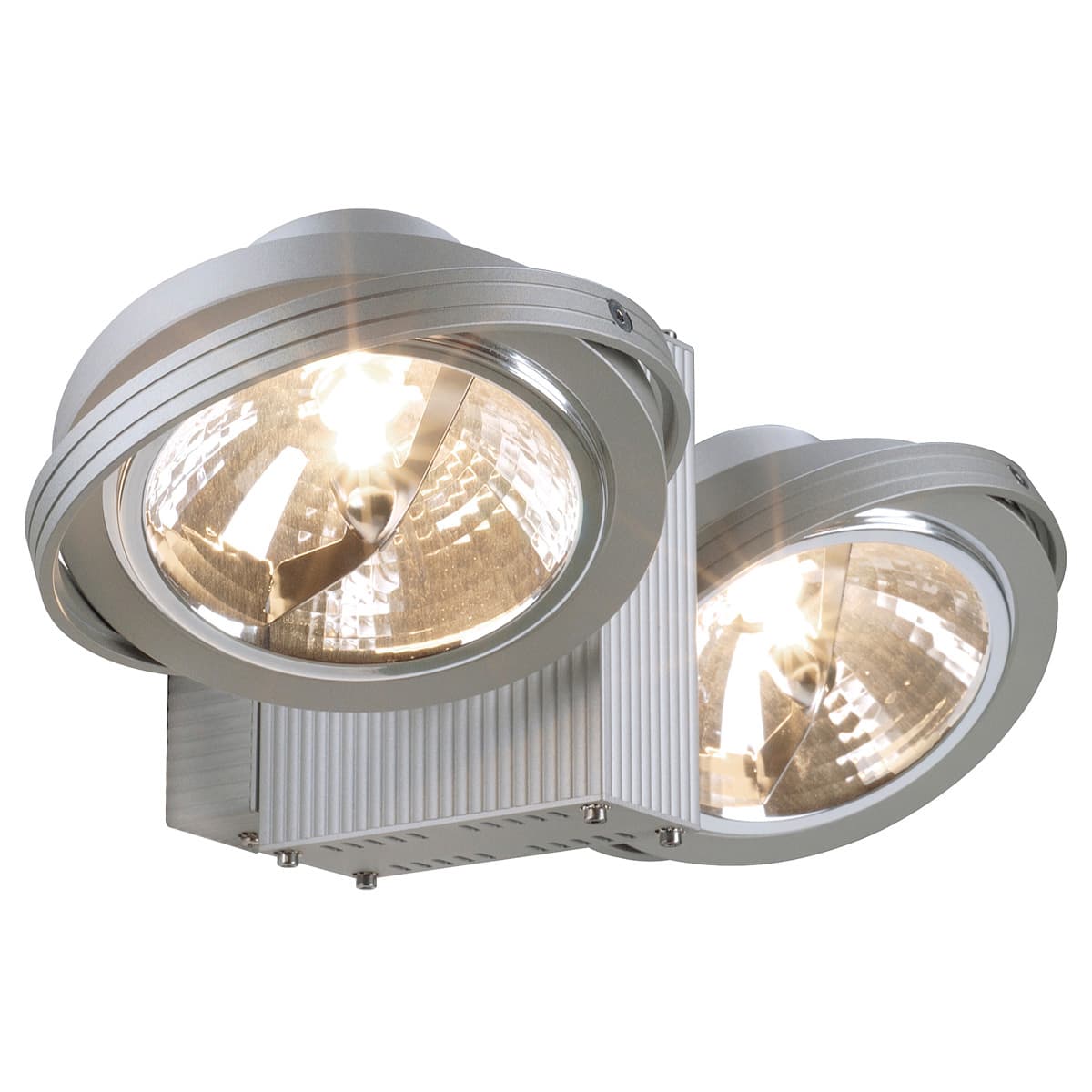TEC KARDA 2 wall and ceiling light SLV