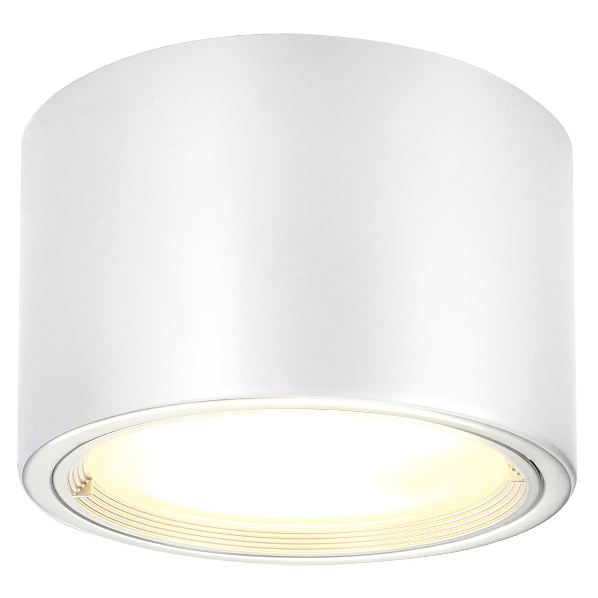 PL SURFACE-MOUNTED SPOT SLV