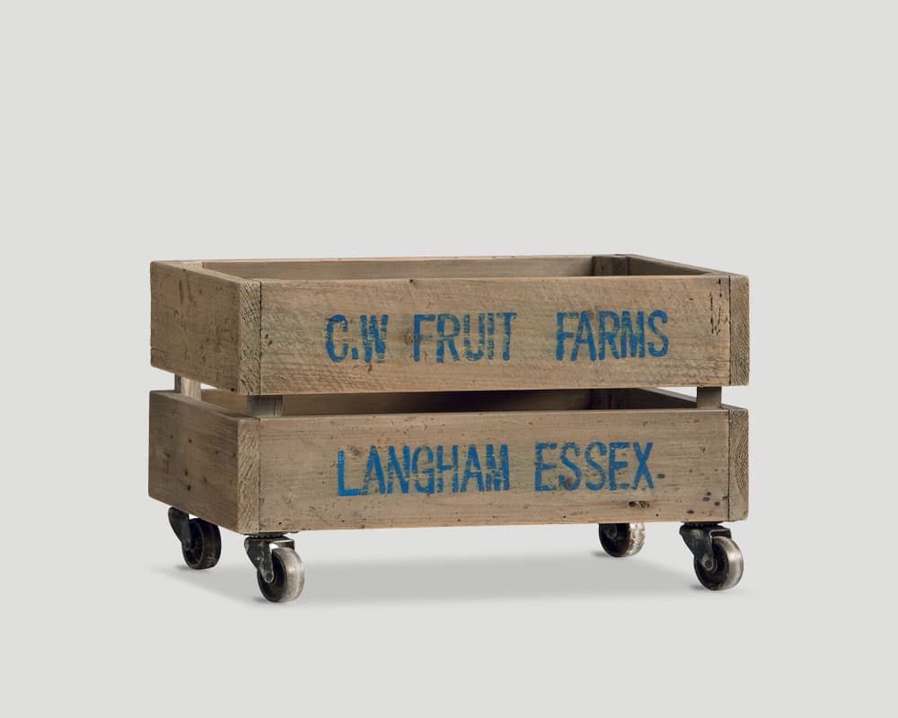 Contenitore DB001730