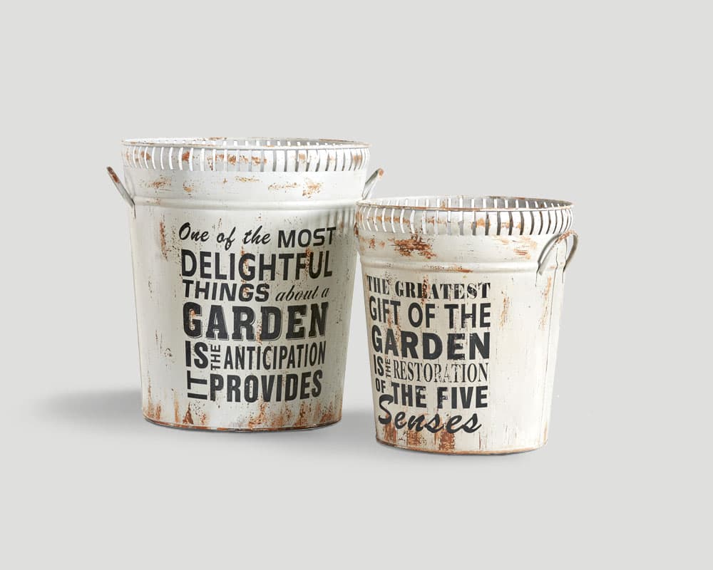 Contenitori DB003066