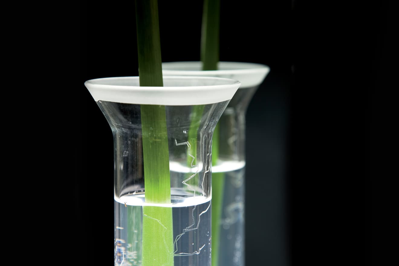 Настенный светильник CONTARDI Lala Ap Soliflor Contardi 