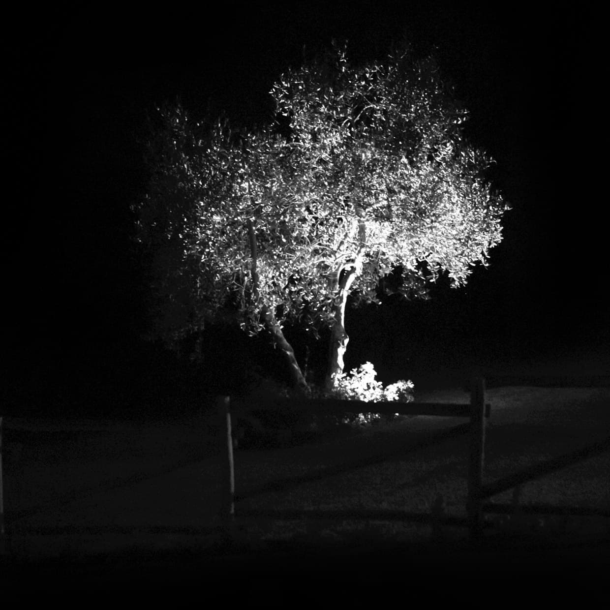 Уличный светильник Davide Groppi OUT Davide Groppi