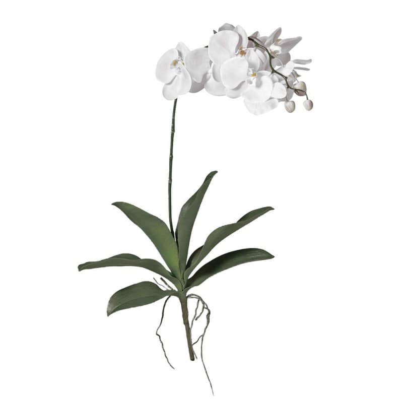 Декоративный элемент Adriani & Rossi Big Orchid flower