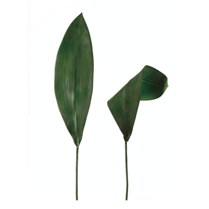 Декоративный элемент Adriani & Rossi Green Leaf 2