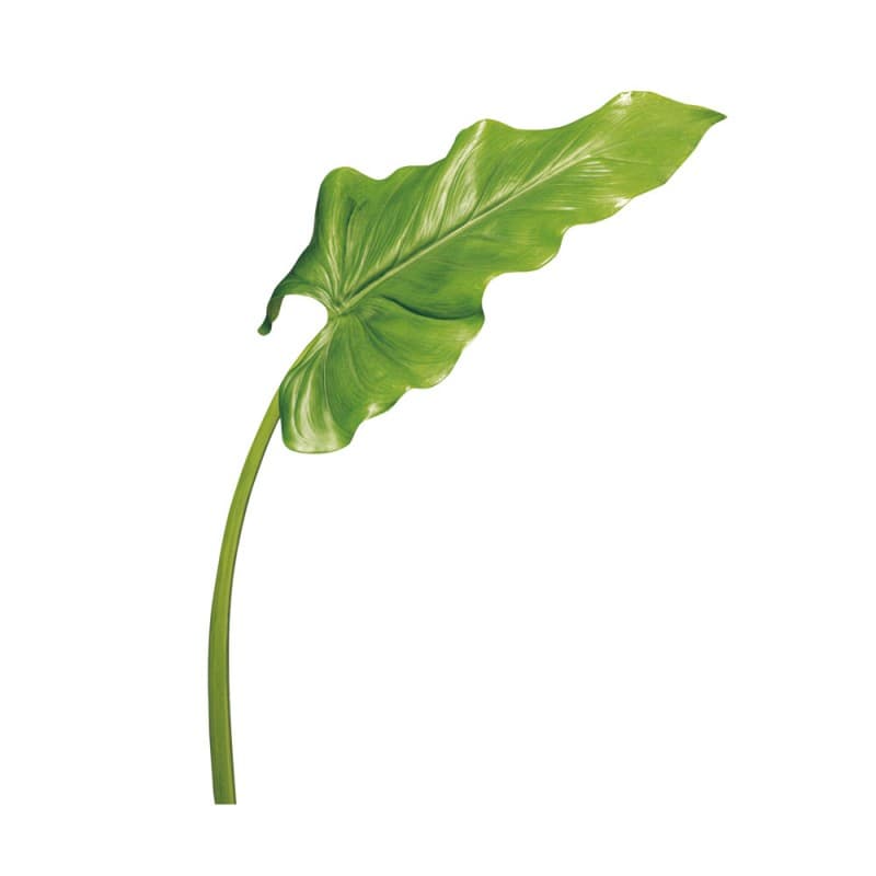 Декоративный элемент Adriani & Rossi Green leaf