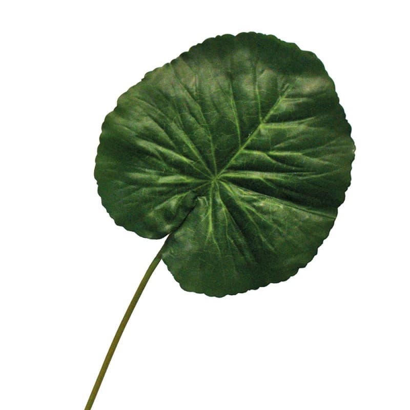 Декоративный элемент Adriani & Rossi Loto flower leaf