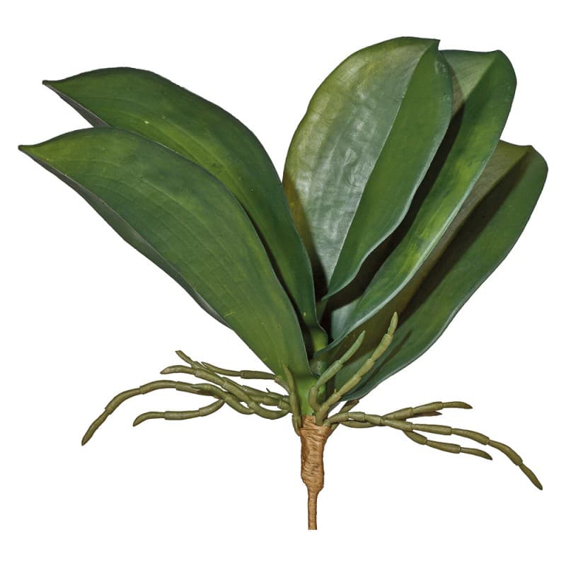 Декоративный элемент Adriani & Rossi Orchia Leaves