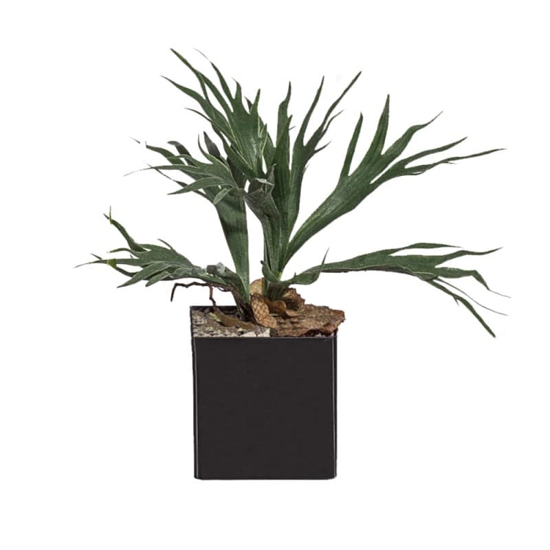 Декоративный элемент Adriani & Rossi Platycerium