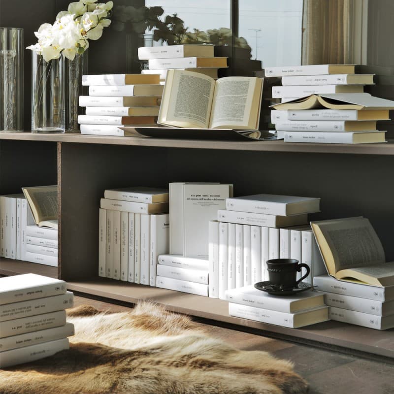 Набор декоративных книг Adriani & Rossi Set of 25 real books