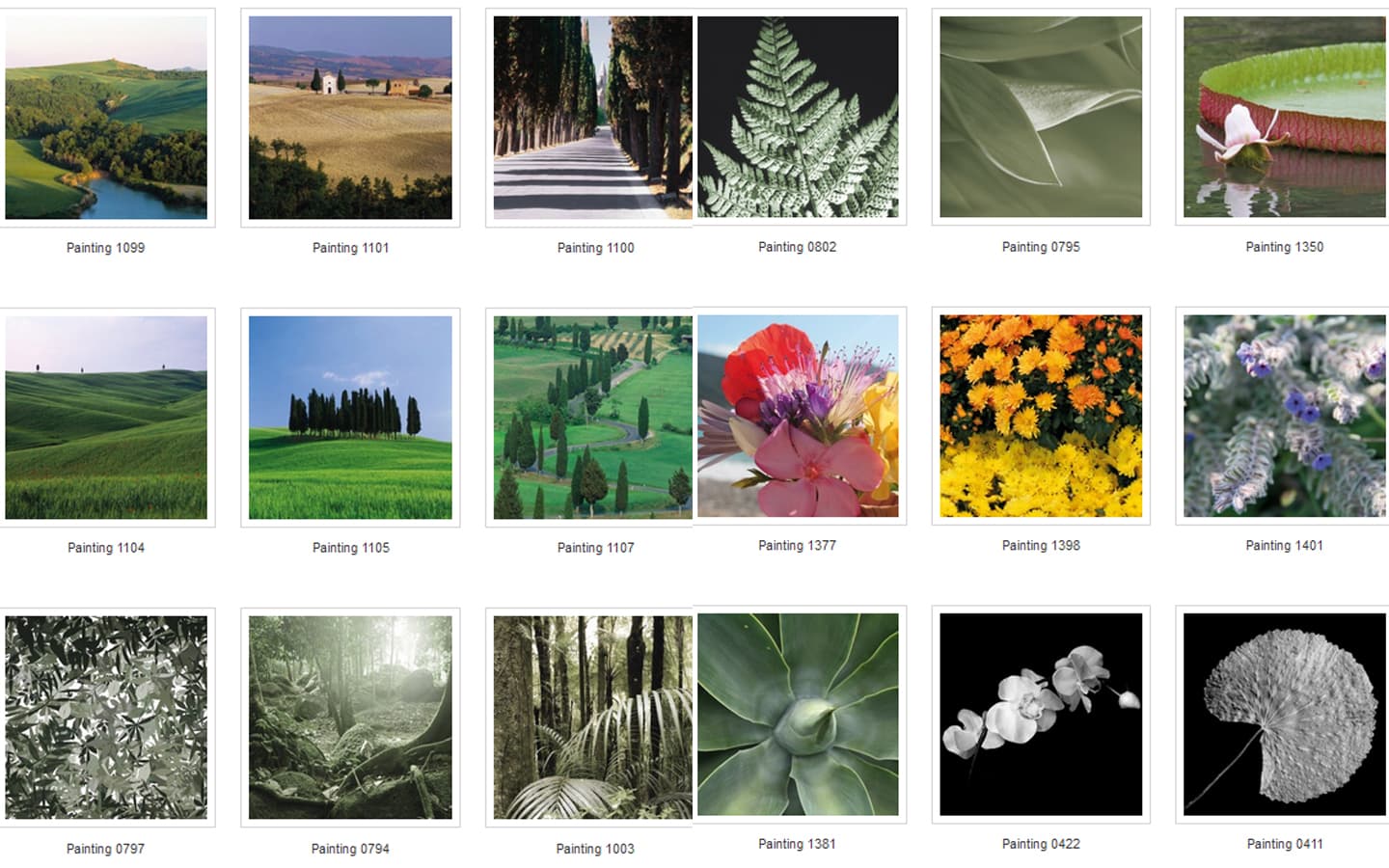 Картина Adriani & Rossi Prints on canvas Flowers and plants Painting 1108