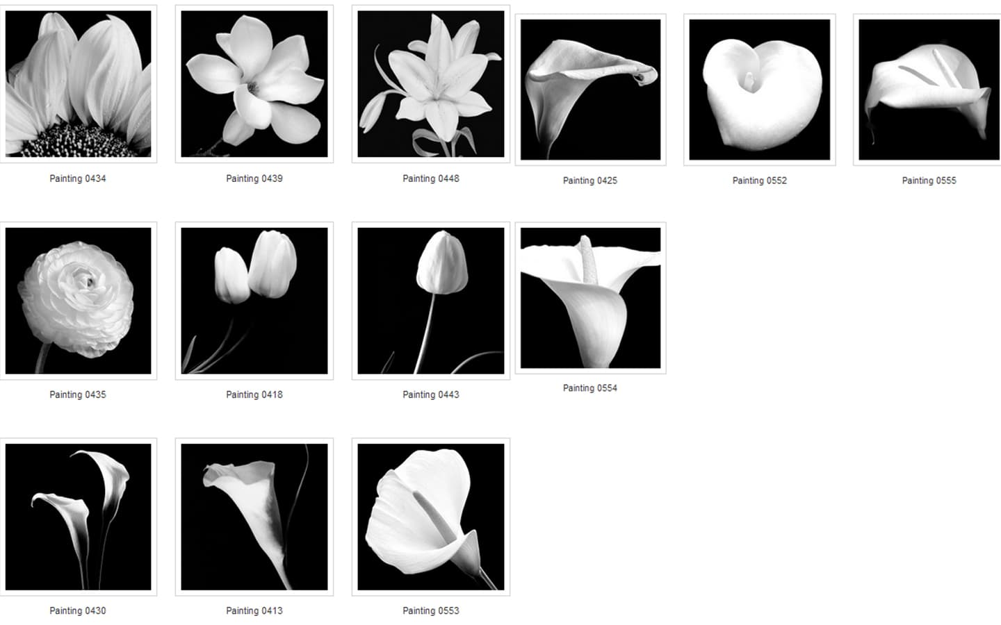 Картина Adriani & Rossi Prints on canvas Flowers and plants Painting 1108