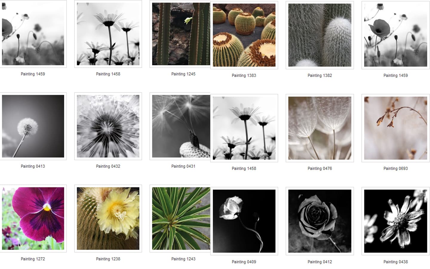 Картина Adriani & Rossi Prints on canvas Flowers and plants Painting 1108