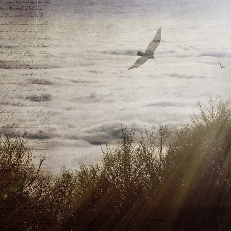 Обои Adriani & Rossi Atmosphere