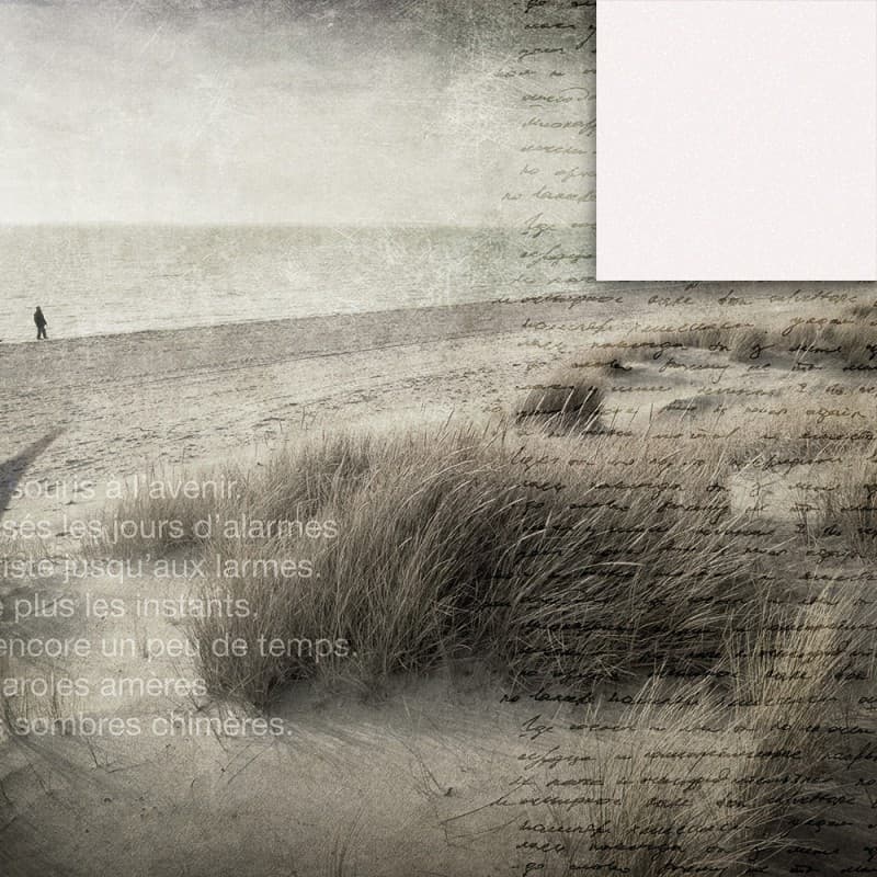 Обои Adriani & Rossi Beach