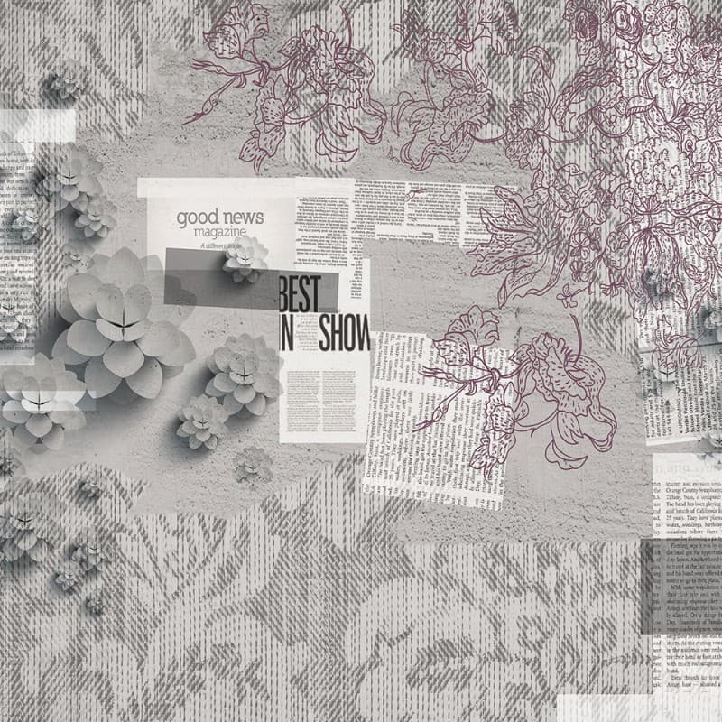 Обои Adriani & Rossi Daily news