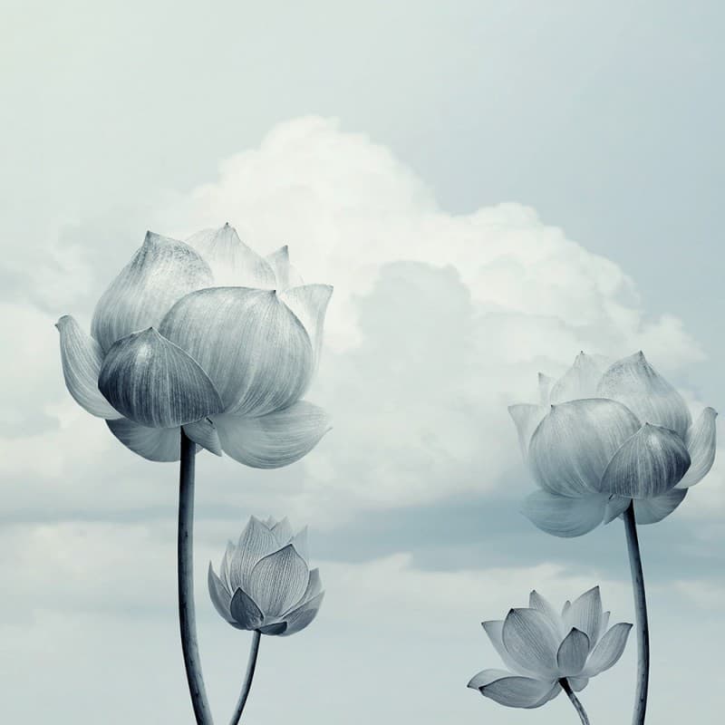 Обои Adriani & Rossi Gulliver