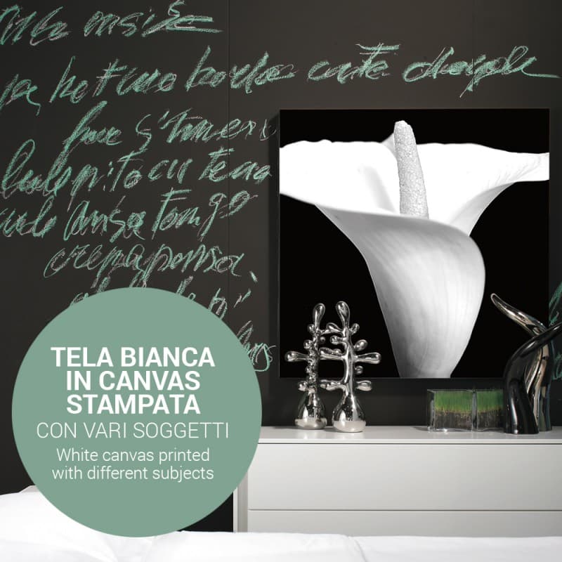 Картина Adriani & Rossi Prints on canvas Flowers and plants Painting 1108