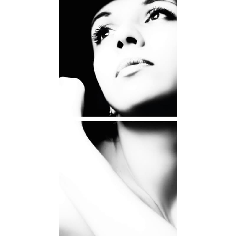 Картина Adriani & Rossi Prints on canvas Big Size Set 2 Paintings 1409