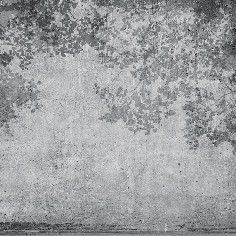 Обои Adriani & Rossi Theater