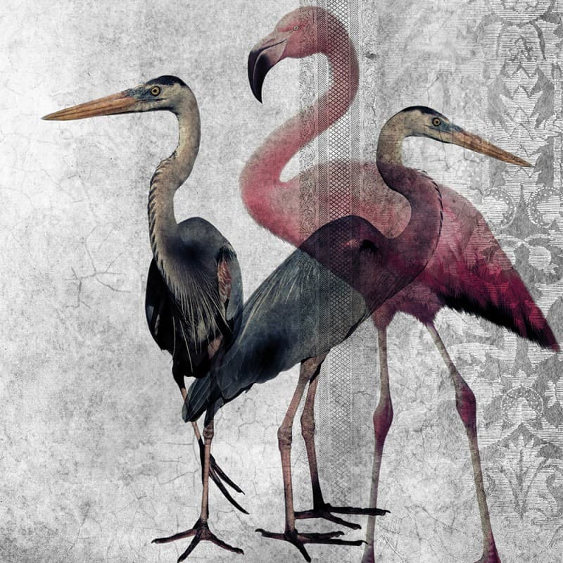 Обои Adriani & Rossi CAMARGUE