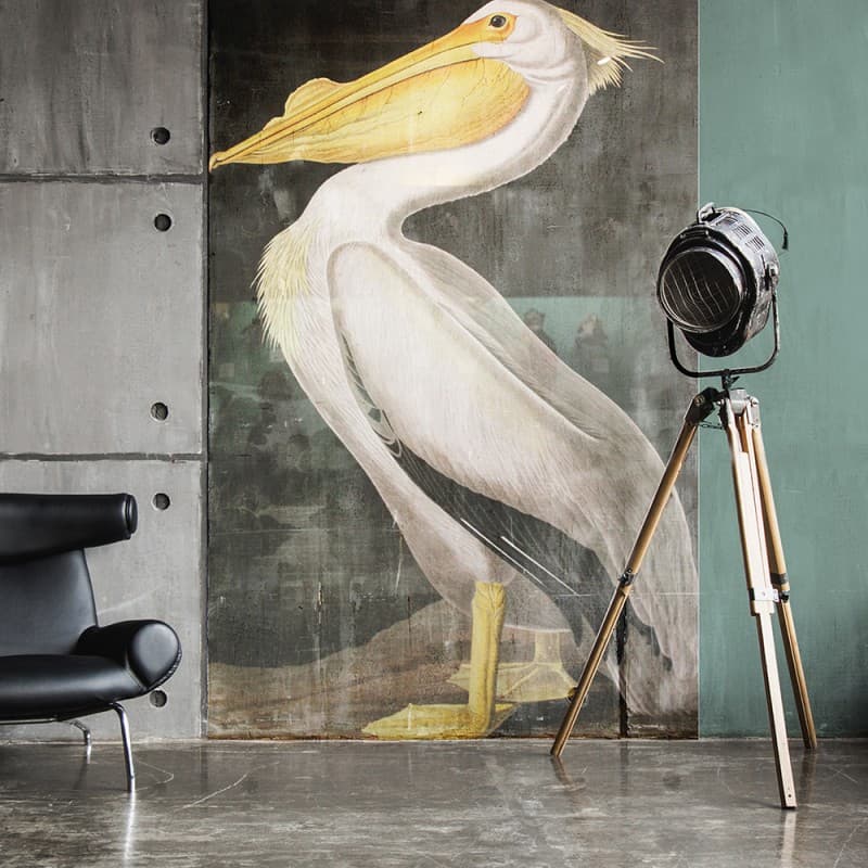 Обои Adriani & Rossi DARWIN