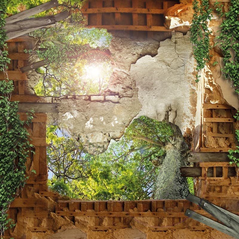 Обои Adriani & Rossi IL CIELO IN UNA STANZA