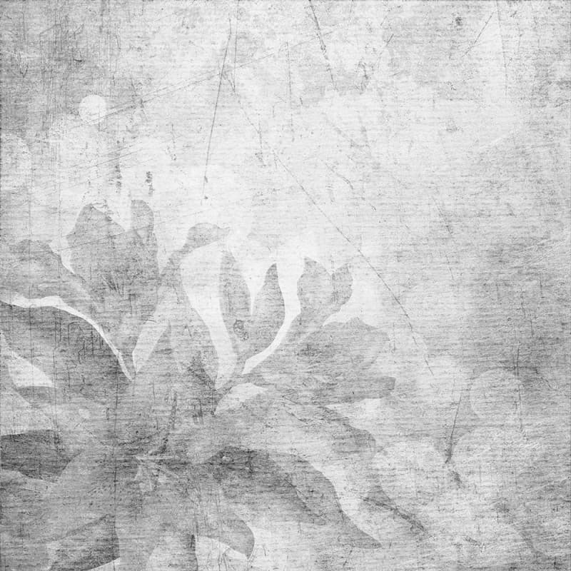 Обои Adriani & Rossi INTONA