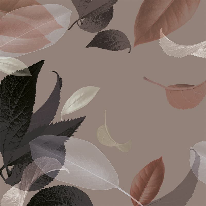 Обои Adriani & Rossi LEAVES