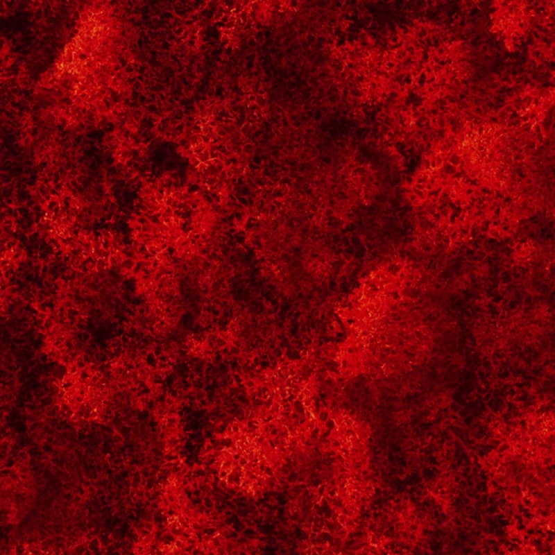 Декор "зеленая стена" Adriani & Rossi Lichen