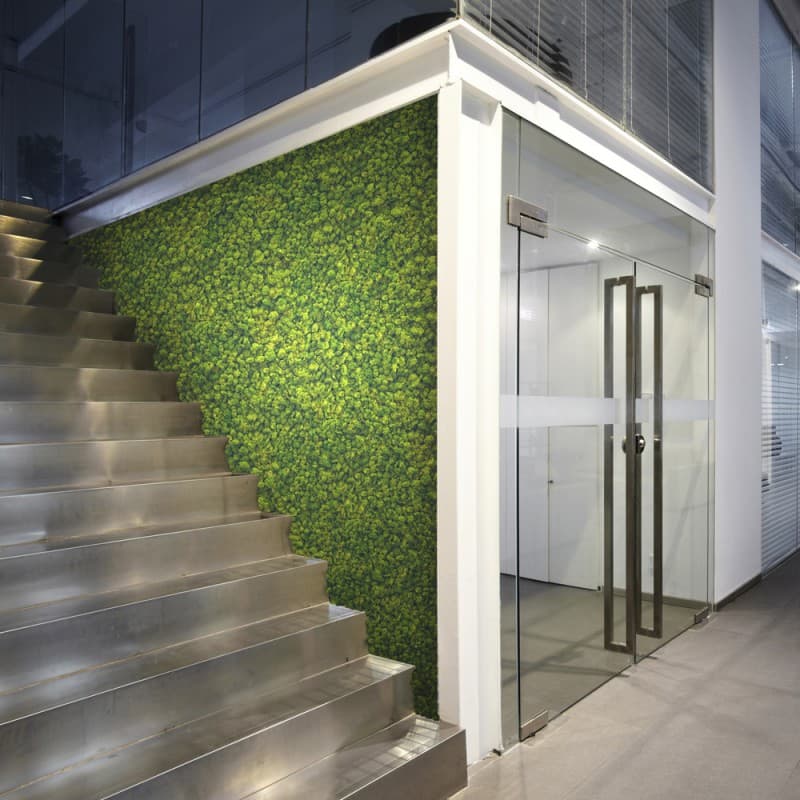 Декор "зеленая стена" Adriani & Rossi Lichen