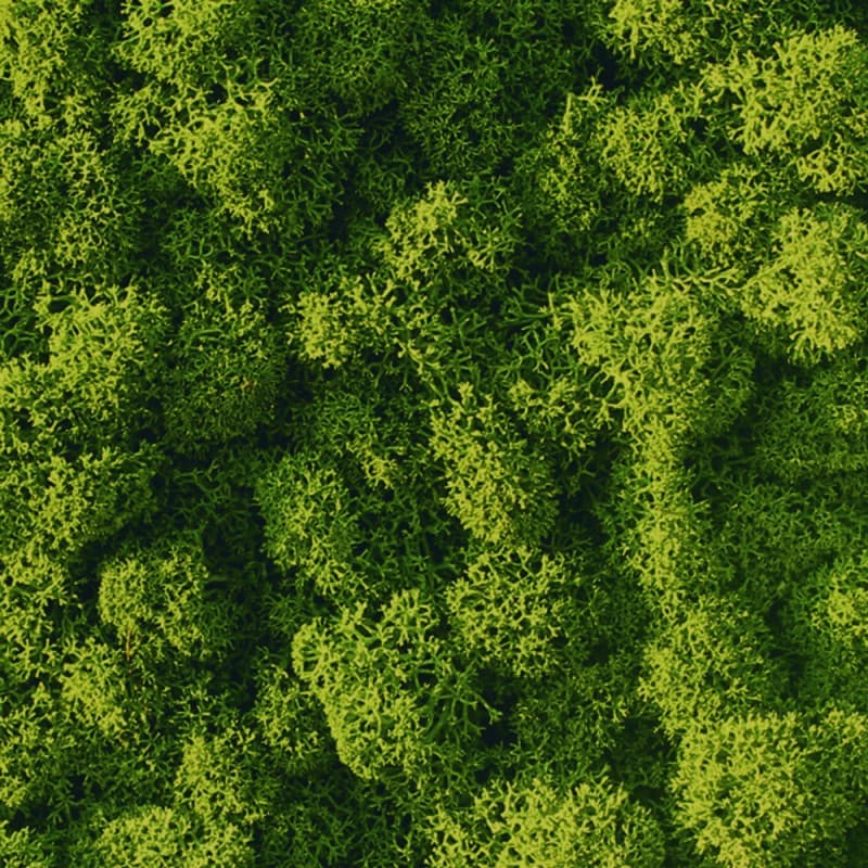 Декор "зеленая стена" Adriani & Rossi Lichen