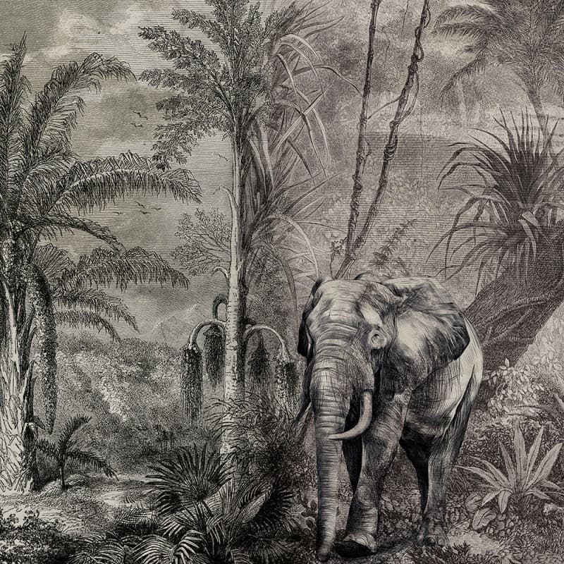 Обои Adriani & Rossi MARAJÀ