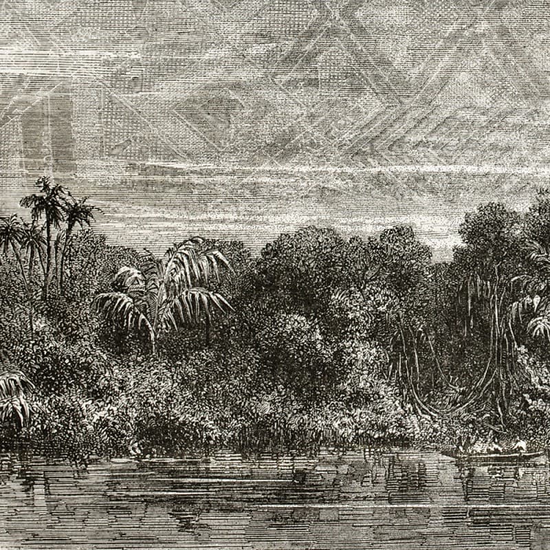 Обои Adriani & Rossi MARAJÀ