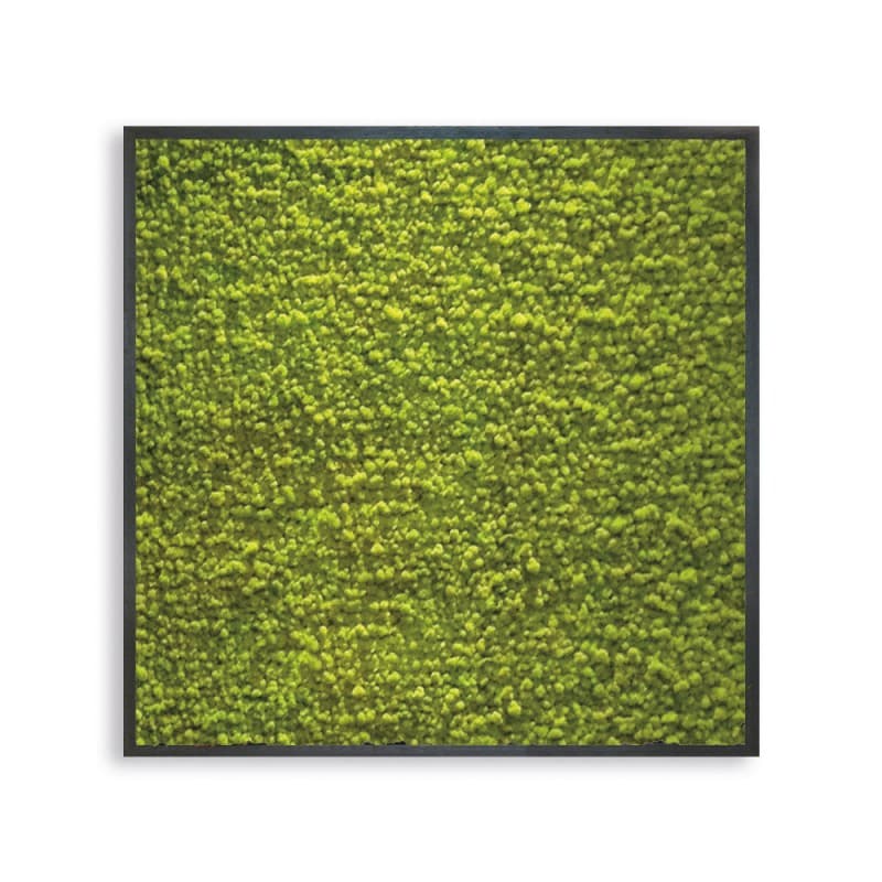 Декор "зеленая стена" Adriani & Rossi Picture Frame Pialla Lichen