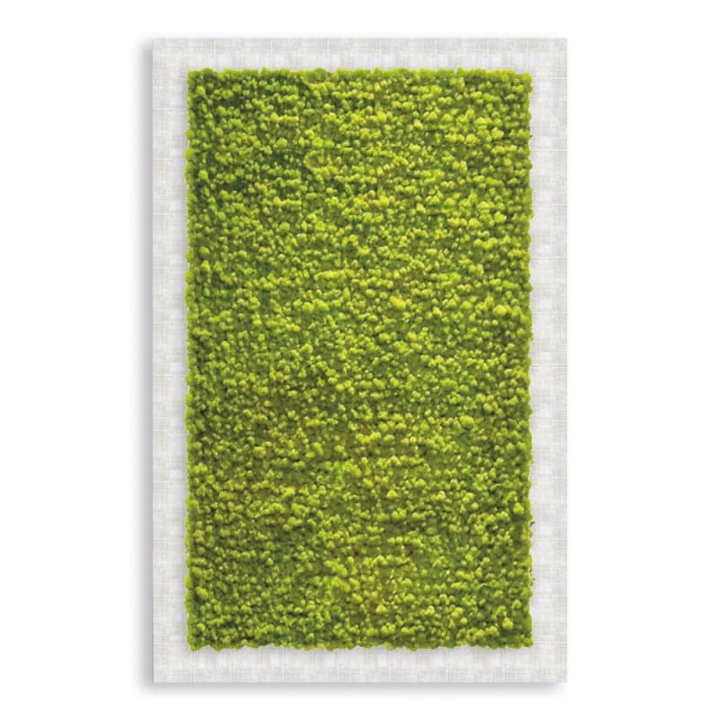 Декор "зеленая стена" Adriani & Rossi Picture Frame Pialla Lichen