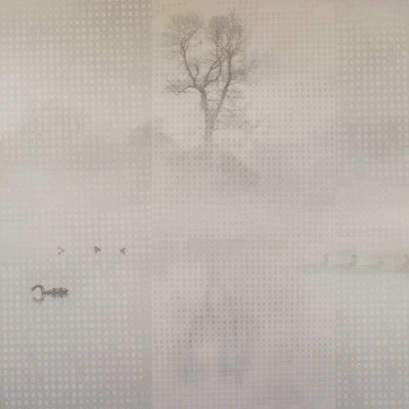 Обои Adriani & Rossi SILENTE